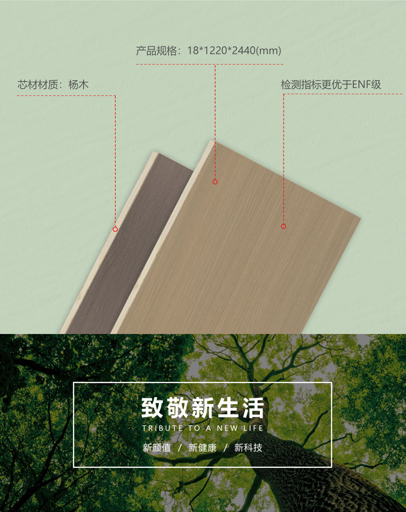 碳晶板生產(chǎn)廠家