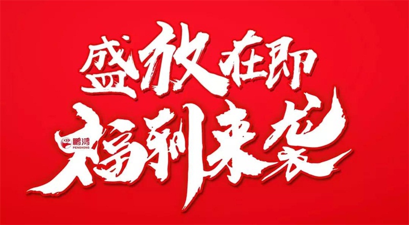再拓疆域！鵬鴻We+定制&紅星美凱龍聯(lián)袂亮相烏魯木齊