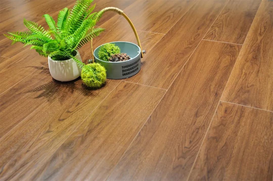 強化地板約克公爵系列-6805