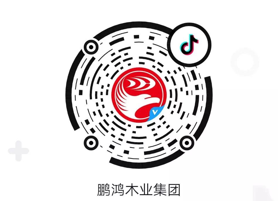 這廂有禮丨這個春節(jié)我最鴻，抖音相伴幸福年